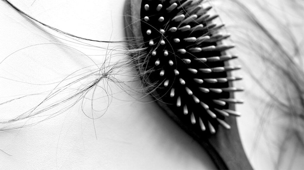 a hairbrush with loose hair in it 