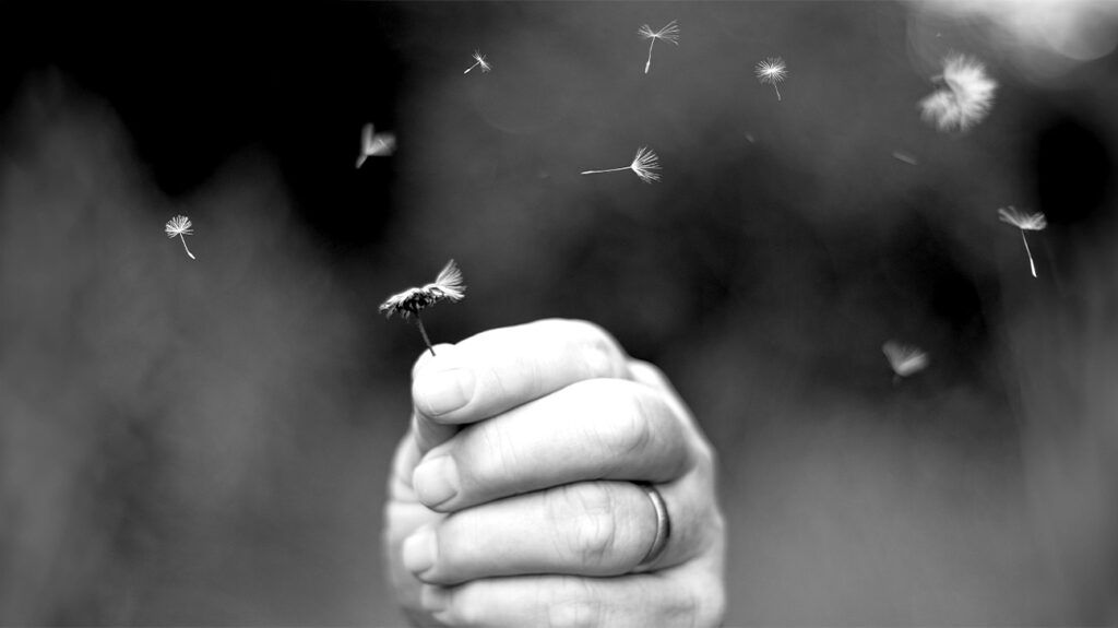 A person's hand holding a dandelion with seeds floating in the air around. -2