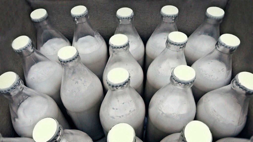 Group of unlabeled glass milk bottles