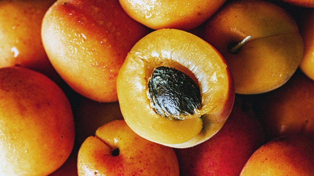 Close-up of ripe apricots