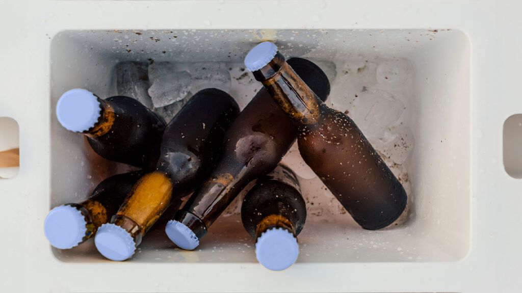 A half-dozen beer bottles in an ice chest
