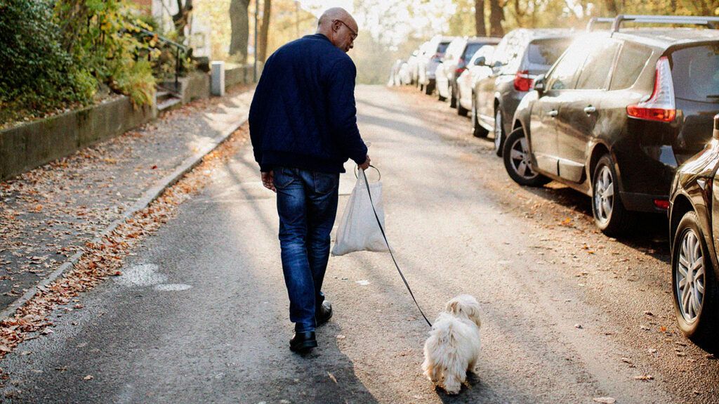 An older adult with greater postural sway walking a dog down a road.-2