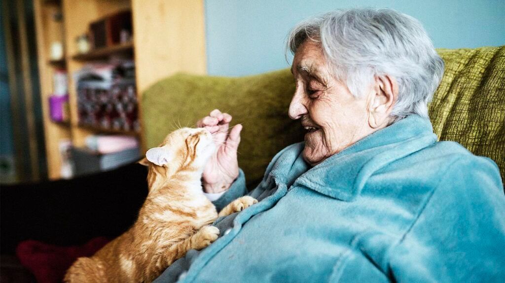 An elderly woman with Alzheimer's petting a cat. -1