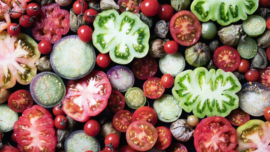 Dagelijks meer tomaten eten verlaagt de hoge bloeddruk