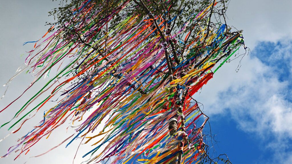 Colorful strings wrapped around tree branches.-2