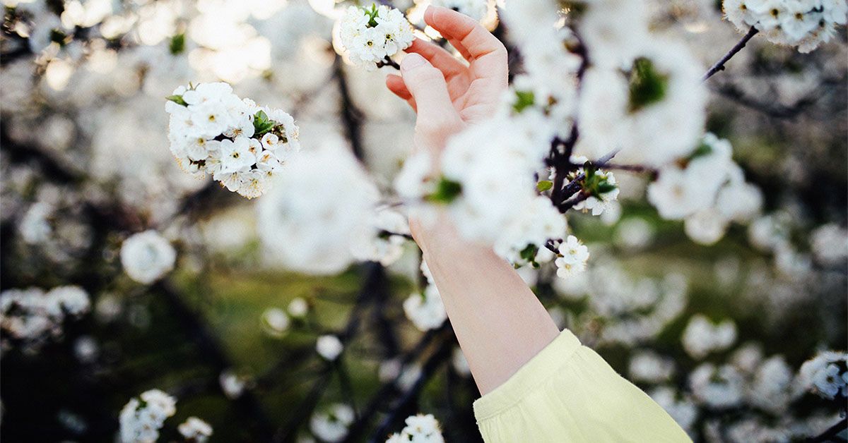 5 tips for managing spring mania and bipolar disorder