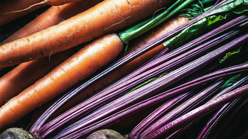Closeup of carrots and beets.