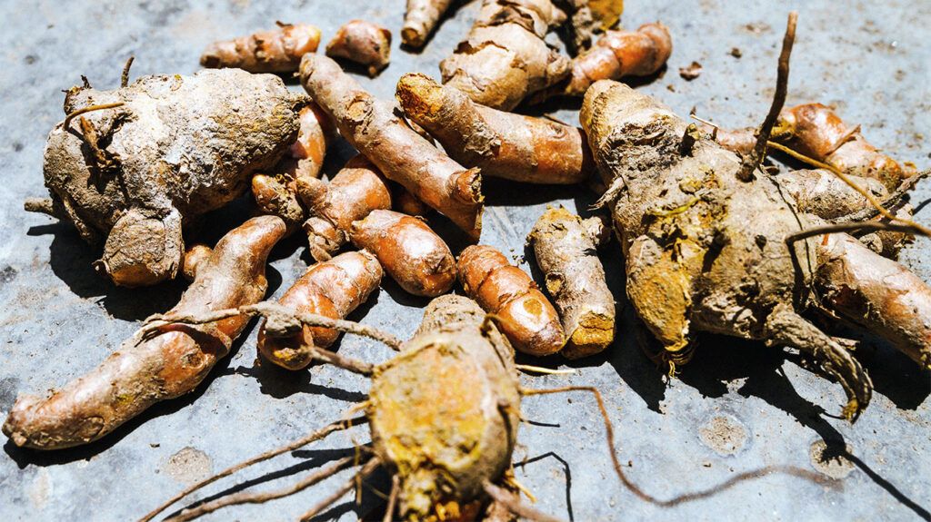 Turmeric root to help with osteoarthritis-1