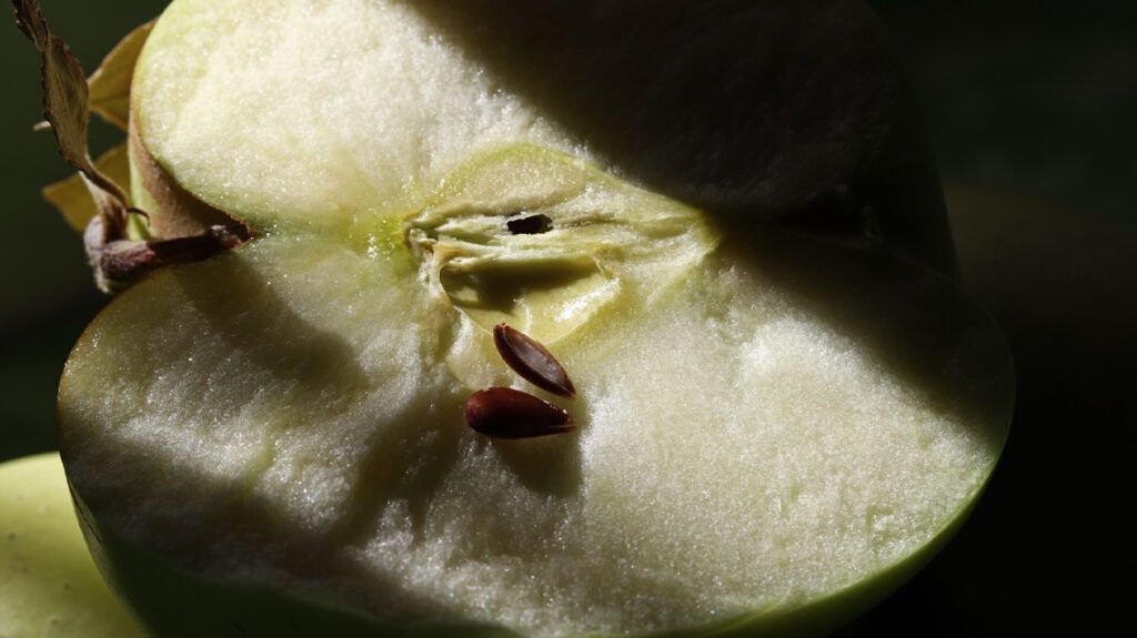 A green apple cut in half, showing the seeds.
