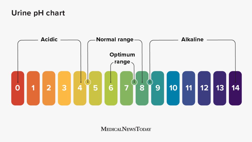 Normaler pH-Wert für Urin