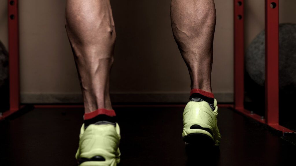 Muscular calves -2.