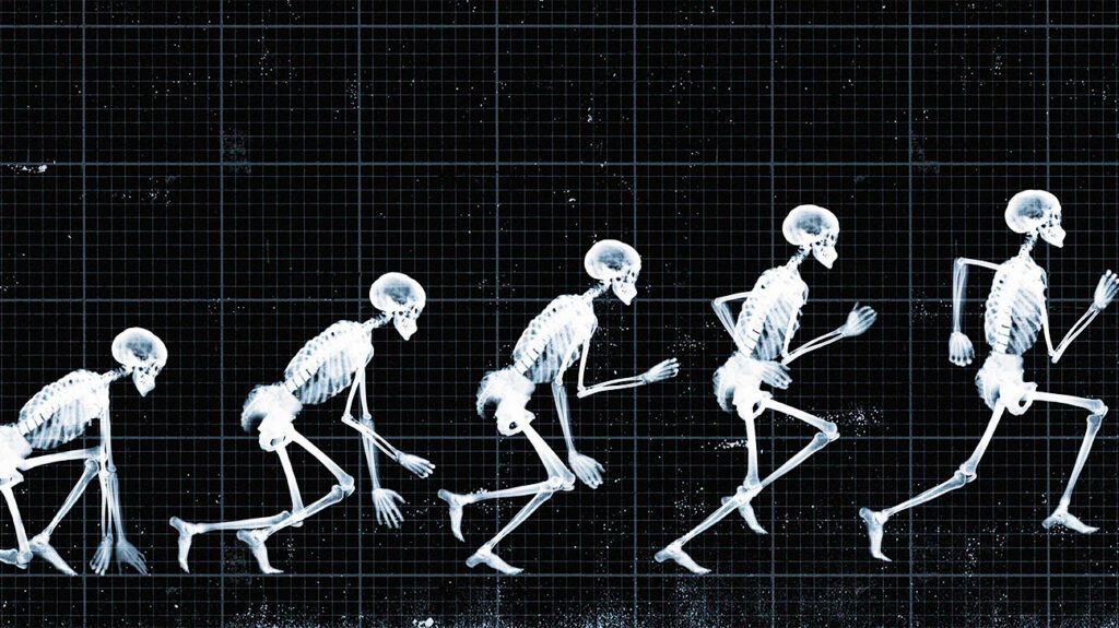 Running X-ray skeletons against a black background.