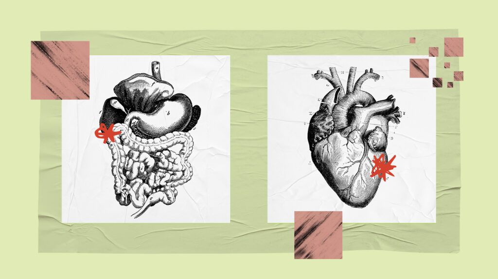 collage showing illustration of digestive system and illustration of a heart