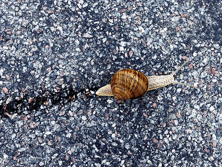 snail-mucin-for-eczema-effectiveness-safety-and-more