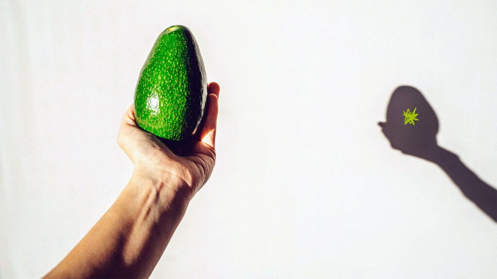 close-up of hand holding up an avocado
