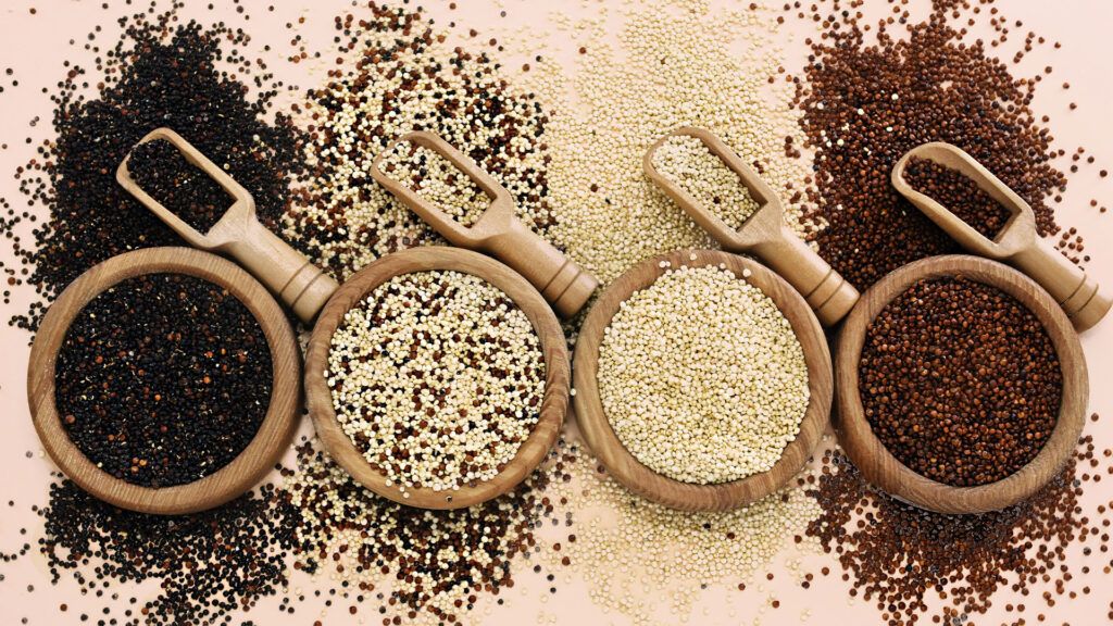 Still life of four types of ancient grains in bowls