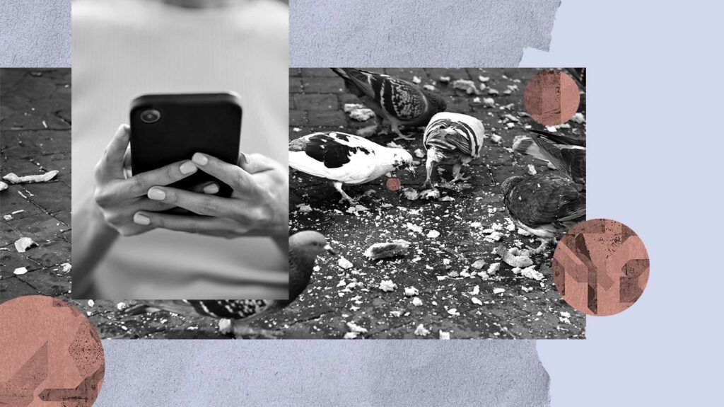 Photo collage of two black and white images: One is a person holding their phone and the other is of birds eating breadcrumbs