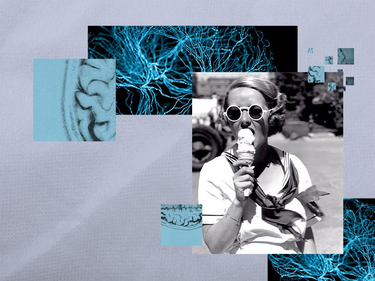 Eating when we're full may be connected to some unique brain circuits - Vimarsana News