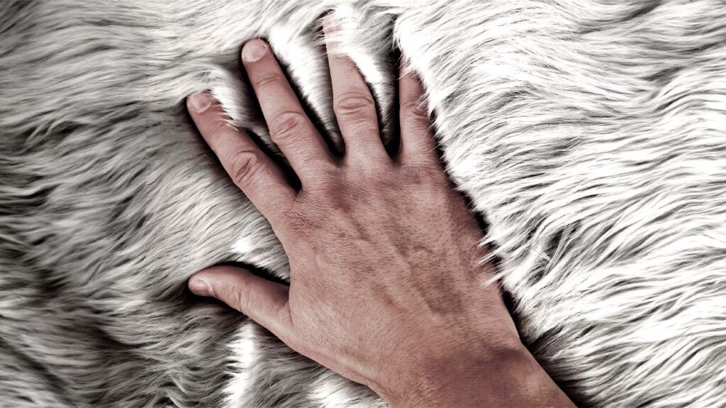 hand touching grey rug