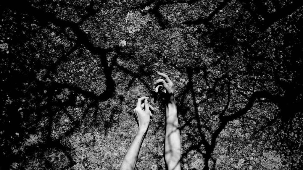 Black and white image of a person's outstretched arms in shadows of tree branches