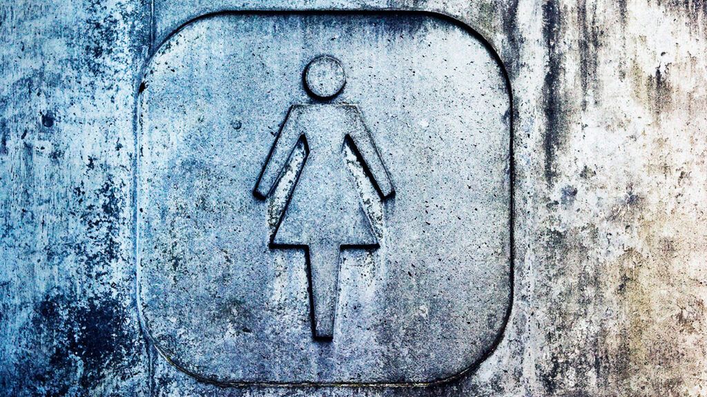 A female toilet sign -2.