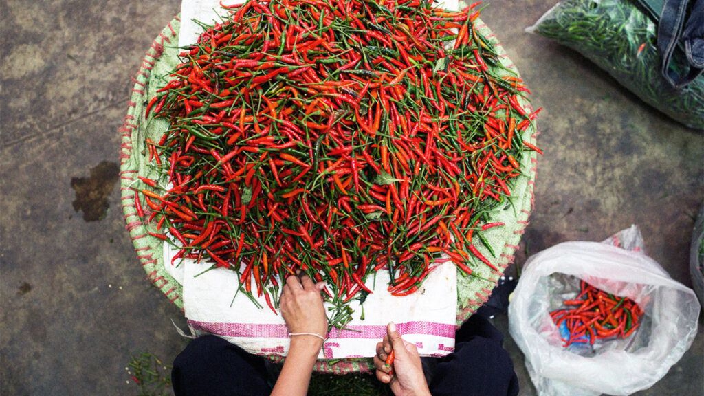 Chili peppers on a piece of cloth outside as a person leaves them to dry