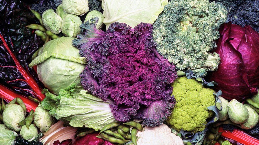 Cruciferous colorful vegetables such as kale and cabbage grouped up