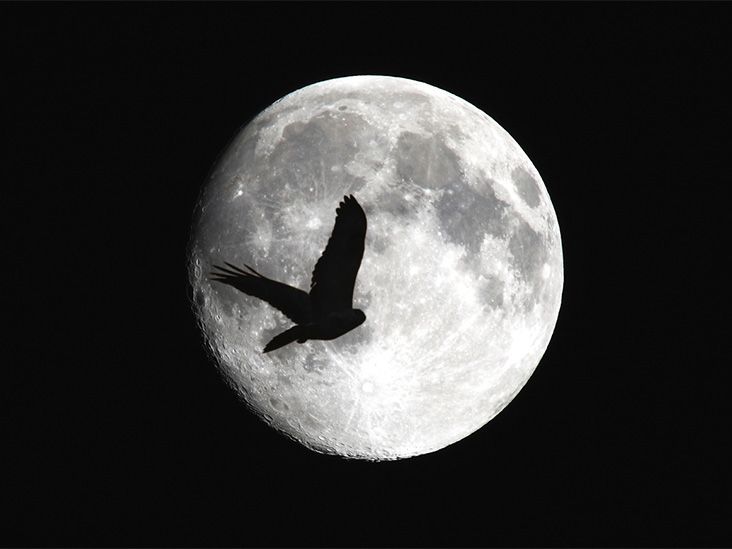 Late bedtimes linked to worse mental health outcomes, study finds - Vimarsana News