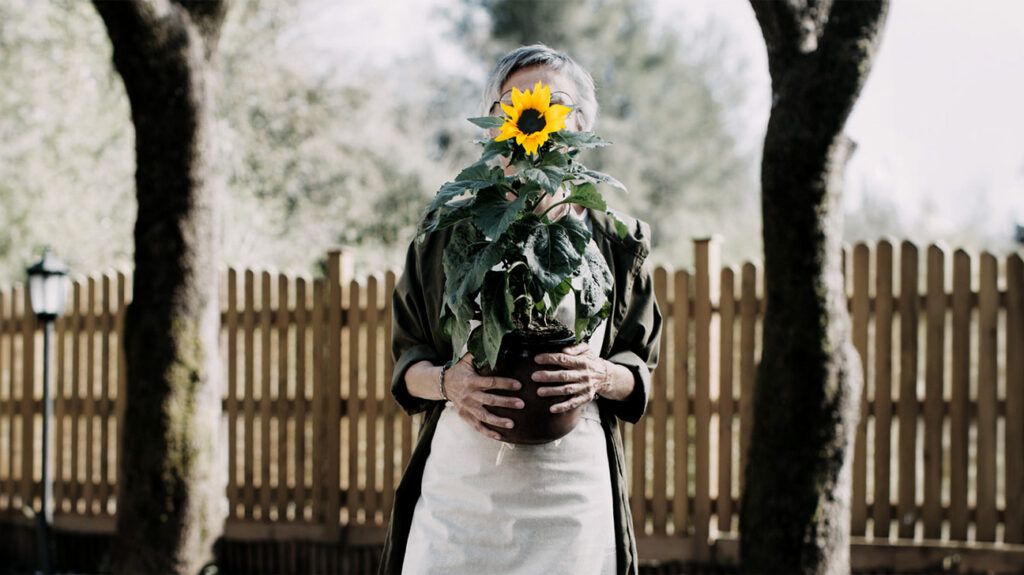 An older person carrying a sunflower-1.