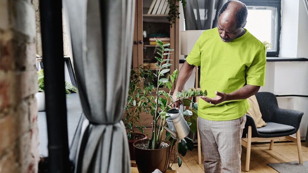 An older person watering a plant 1