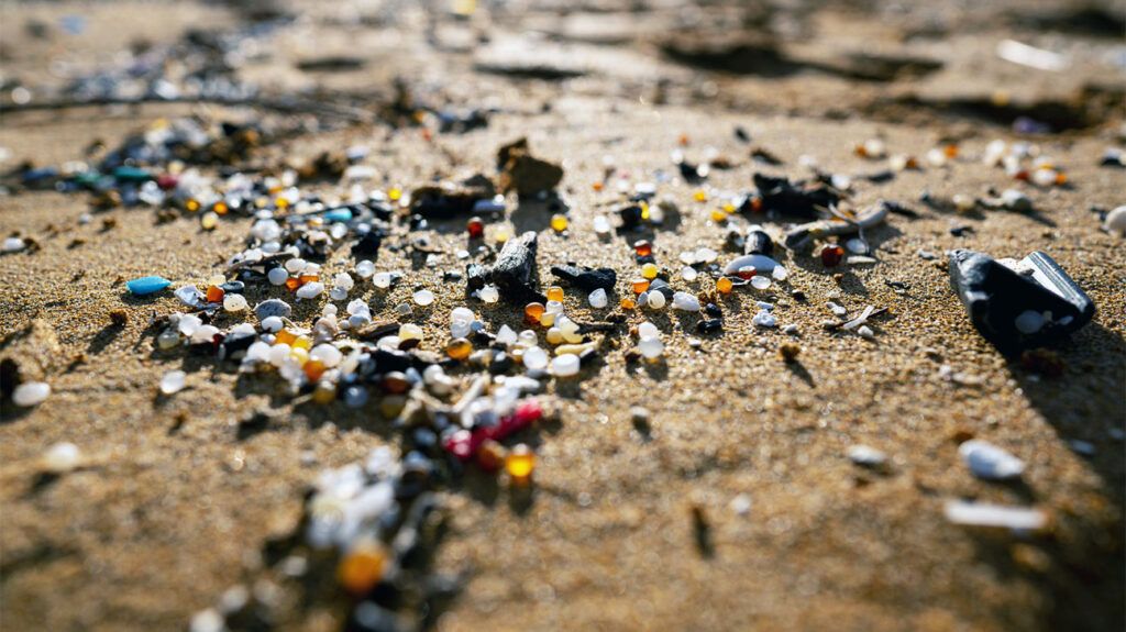 Microplastics found in the brain: Should we be concerned?