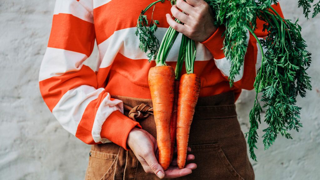 person holding three large carrots