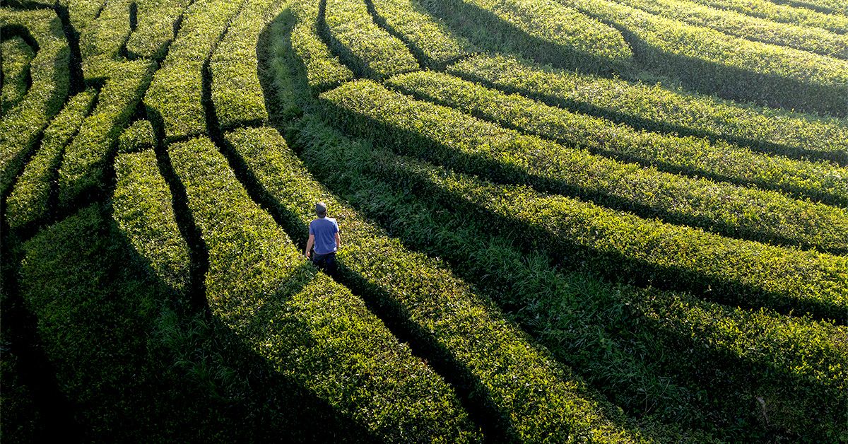 What you need to know about post-traumatic stress disorder (PTSD) What you need to know about post-traumatic stress disorder (PTSD)