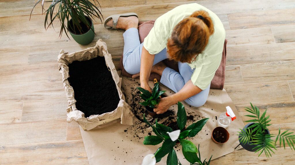 mature woman sitting on the floor repotting plants