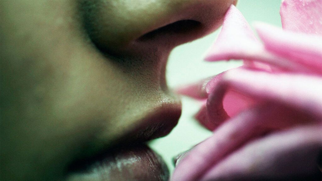 Close up of a person smelling a flower