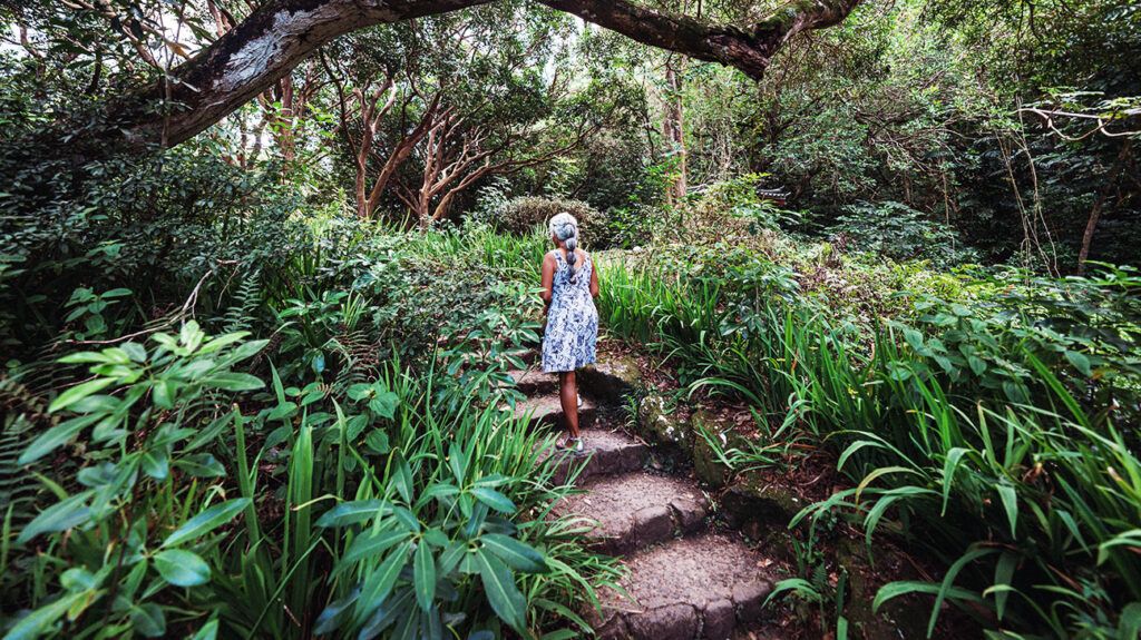 A person walking up some shallow steps surrounded by plants.-1