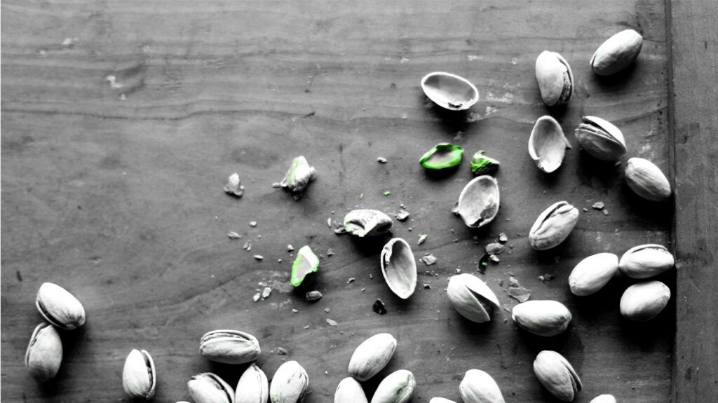 Pistaches fraîches et leurs coquilles cassées sur une surface boisée plate