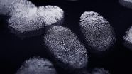 Fingerprint Examples Fingerprint Examples