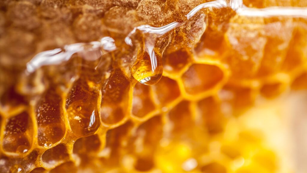 Raw honey: Nutrition and benefits