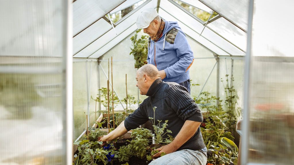 Two older people in a greenhouse 1