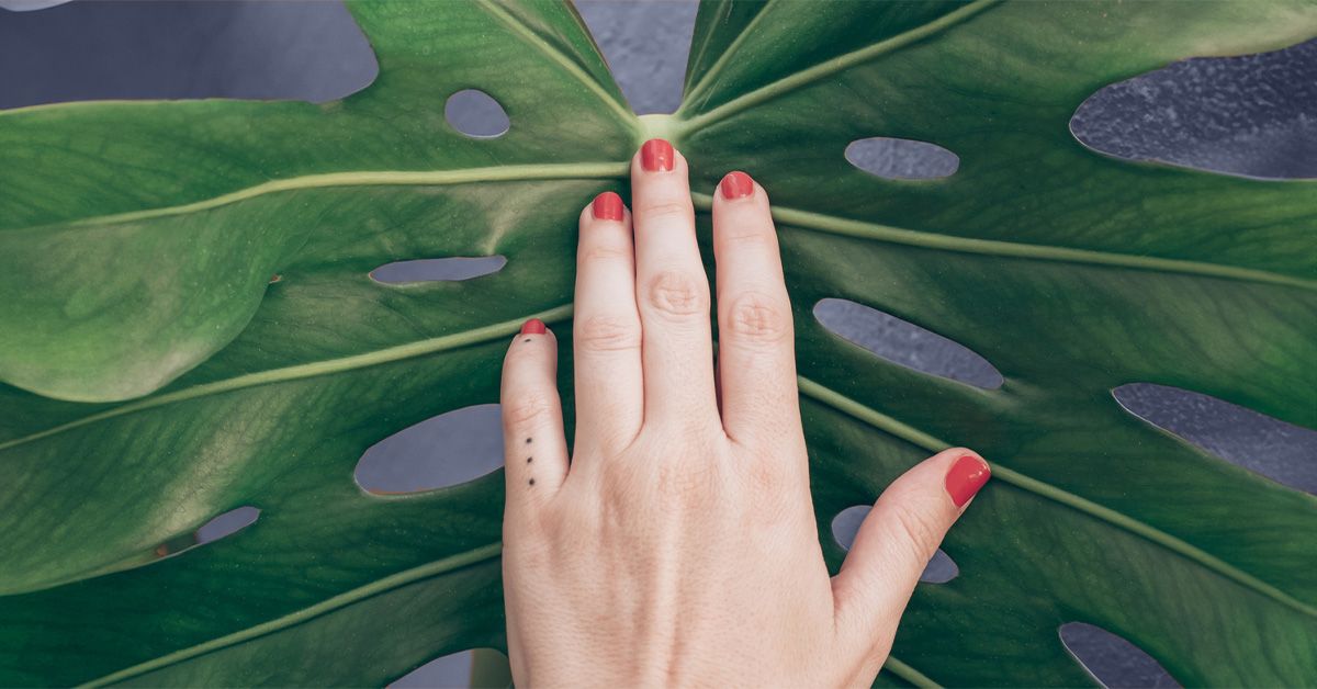 HD порно HD luscious lopez hd Сексуалды атақтылардың жалғандары