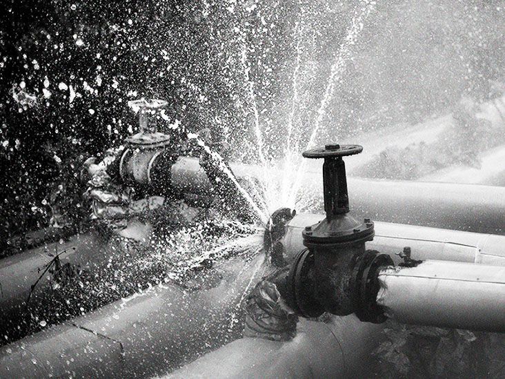 Juda katta ayollar eshaklarining fotosuratlari