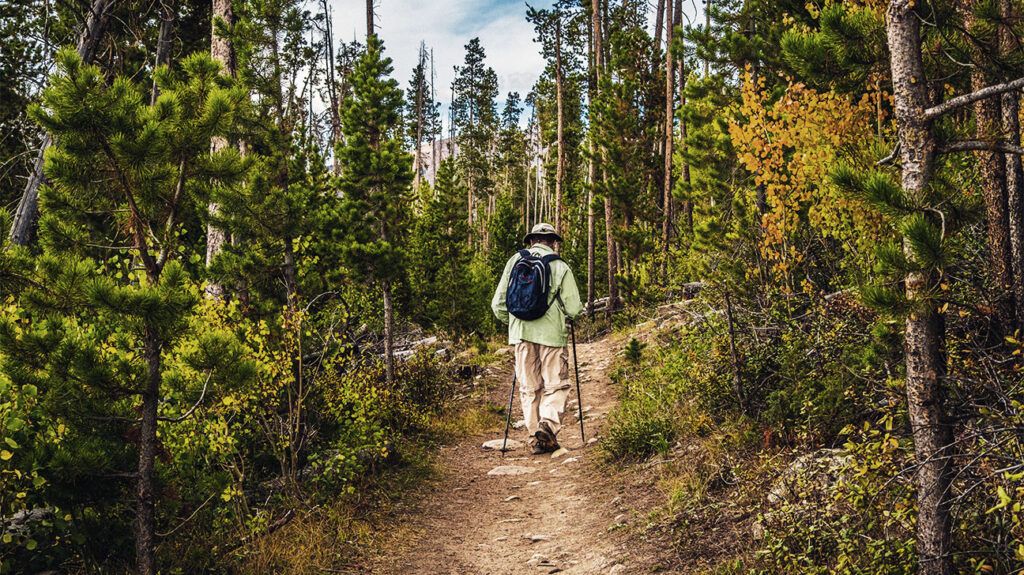 Older male hiking in the woods in Colorado