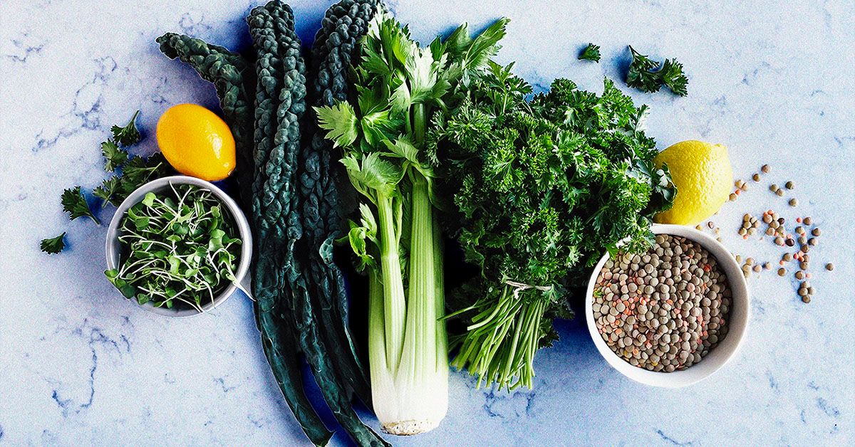 Food food and diet advice