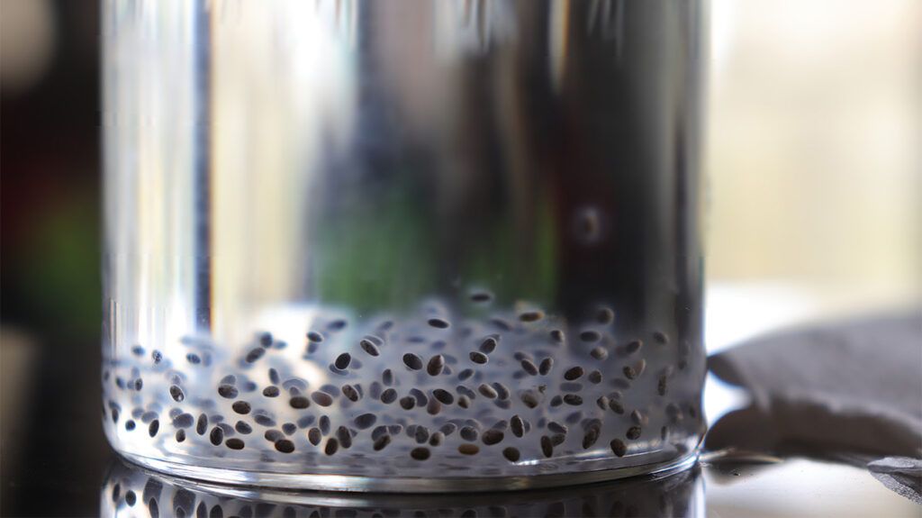 Chia seeds in a bottle of water.