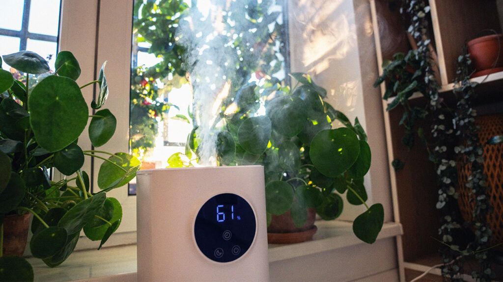 a humidifier emitting steam-1