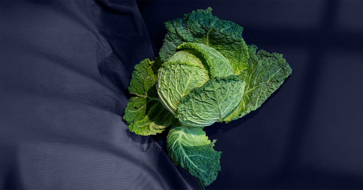 Diets low in vitamin K might impact memory, accelerate cognitive decline