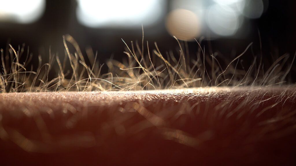 The hairs on a person's arm standing up due to chills.