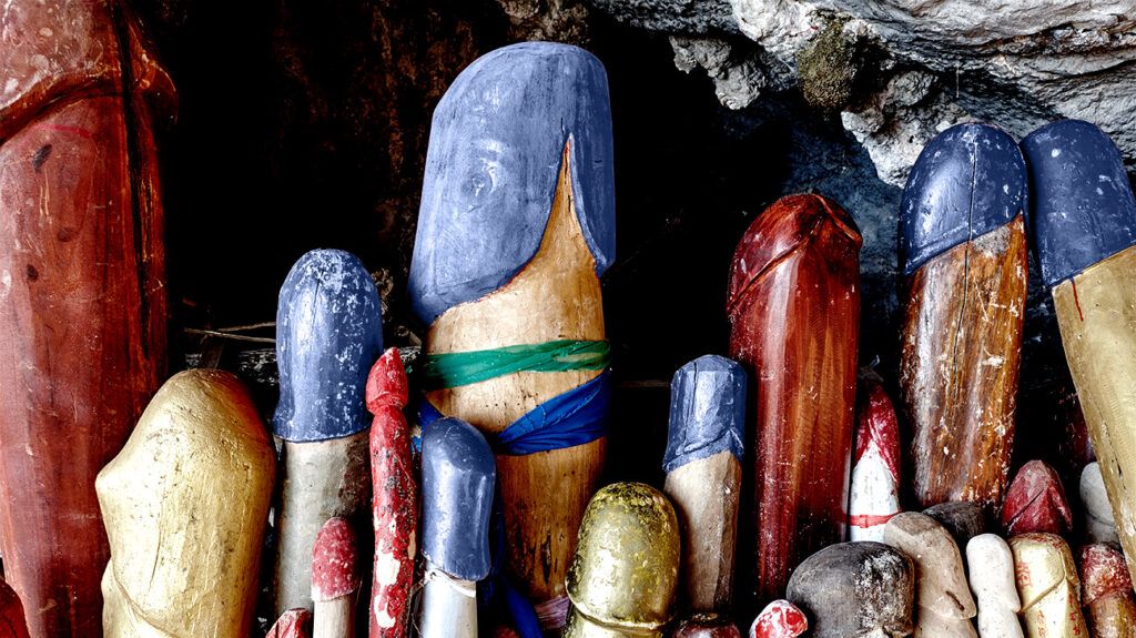 Various wooden penises