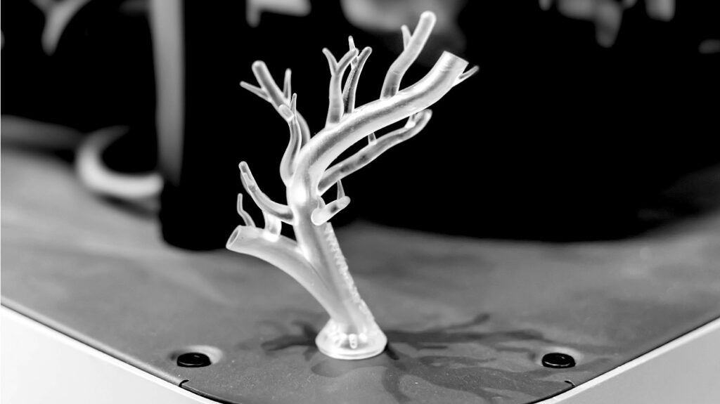 Innovative Approaches to Slowing and Reversing Heart Aging